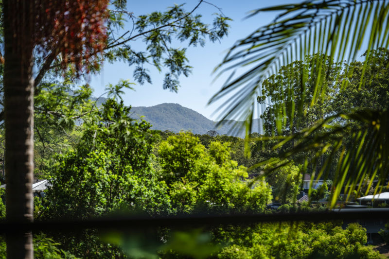 Real Estate in Bellingen