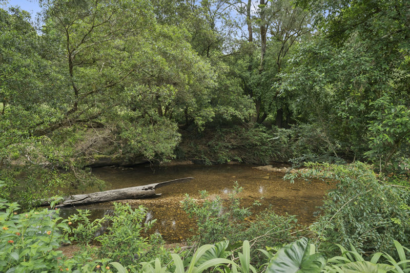 Property in Bellingen - $1.15m - $1.25m