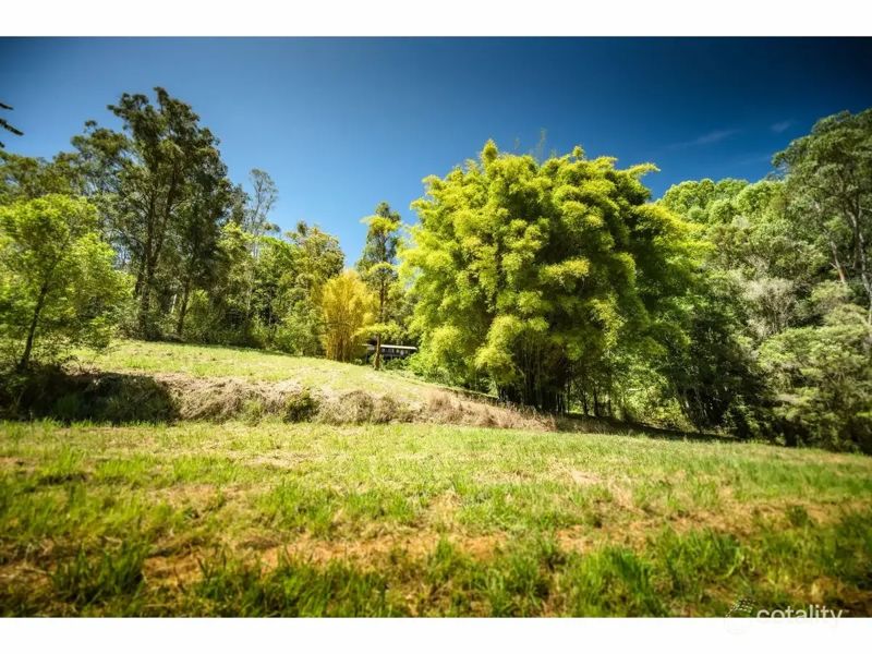 Real Estate in Bellingen