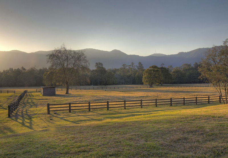 Real Estate in Bellingen