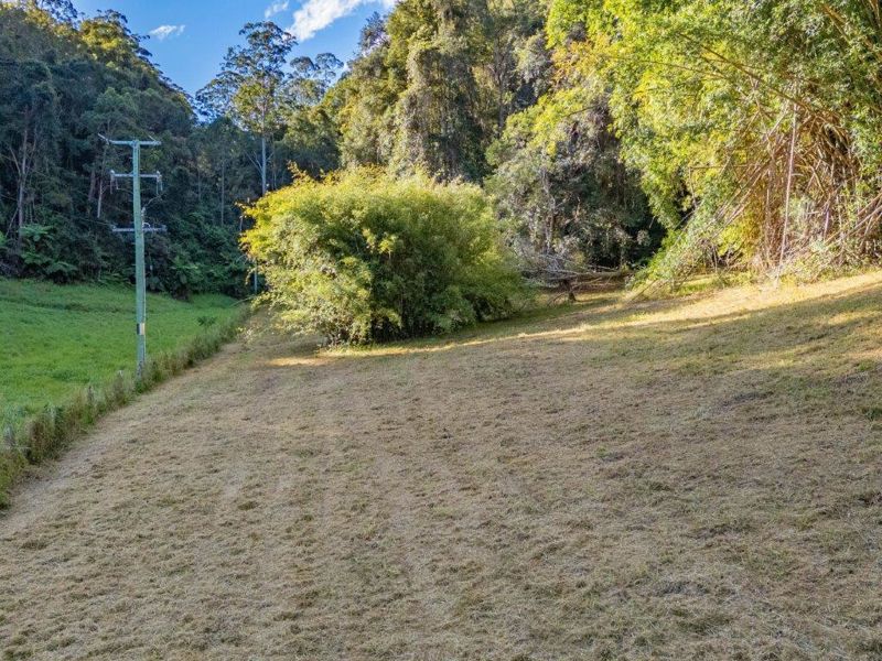 Real Estate in Bellingen