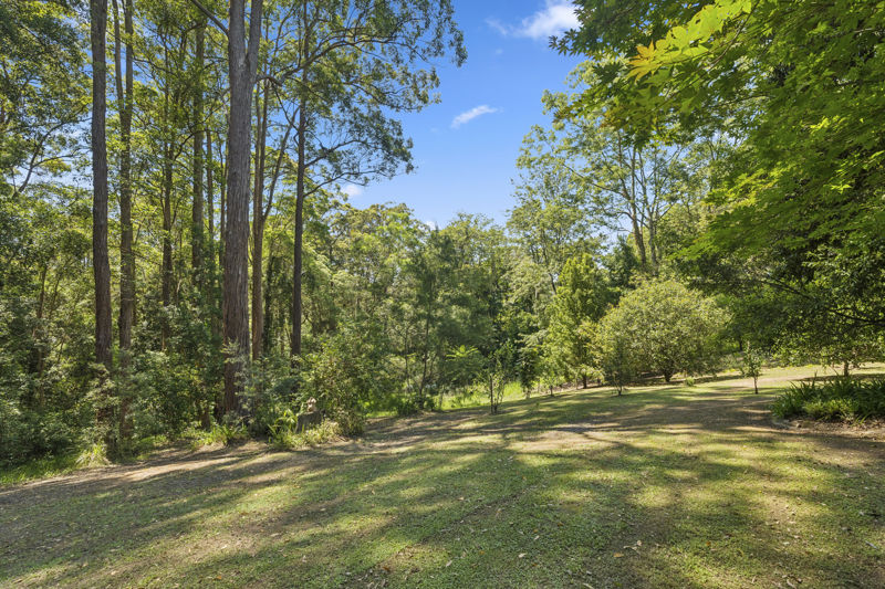 Real Estate in Raleigh