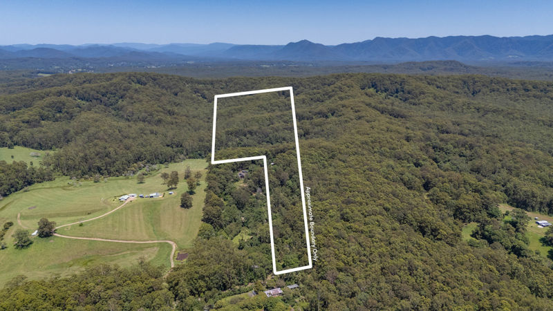 Real Estate in Raleigh