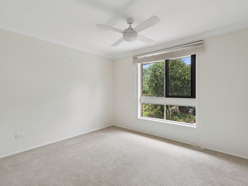 Real Estate in Bellingen