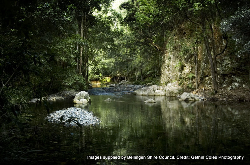 Real Estate in Bellingen