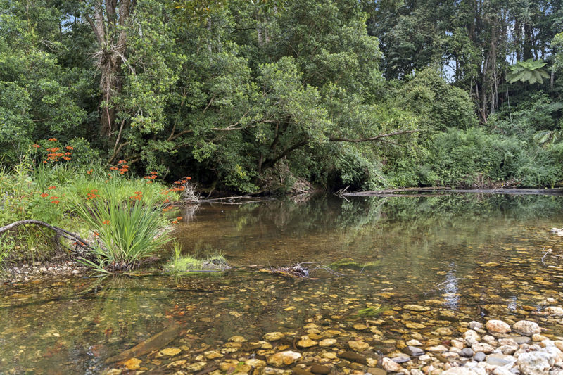 Real Estate in Bellingen