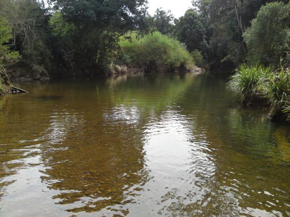 Bellingen real estate Leased