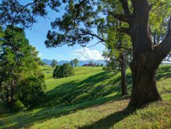 Property in Bellingen - Sold for $260,000