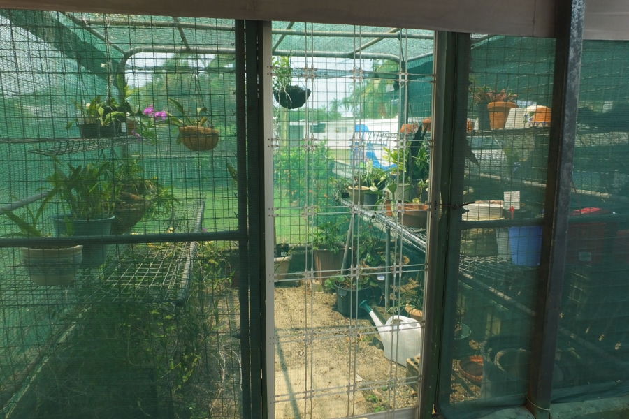 Real Estate in Andergrove