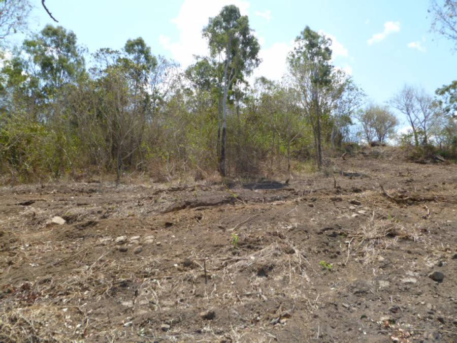 Open for inspection in Eton