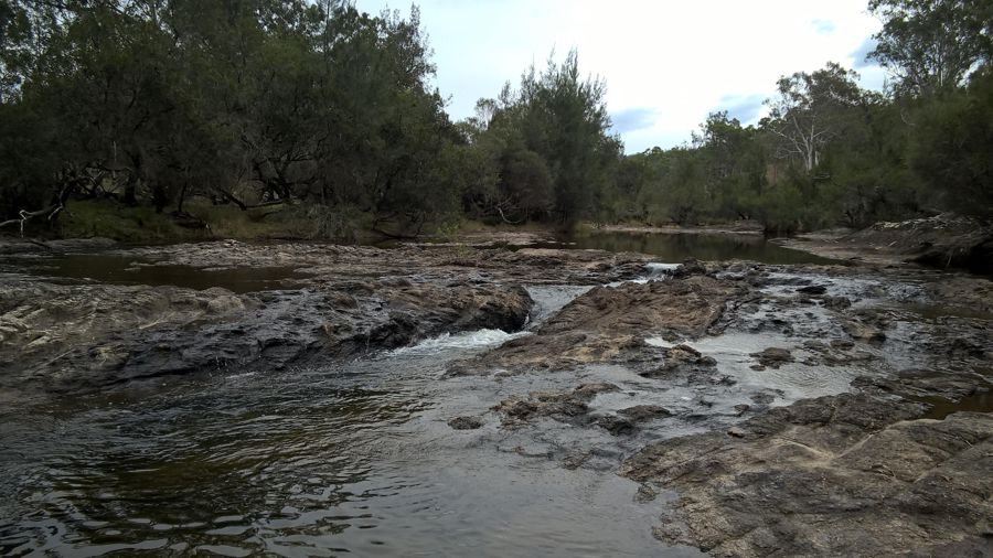 Real Estate in Rivertree