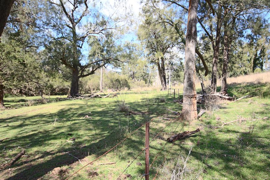 Real Estate in Rivertree