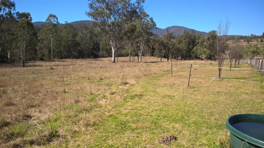 Real Estate in Rivertree