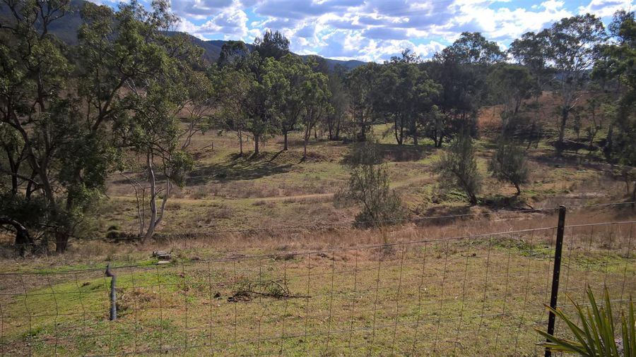 Real Estate in Rivertree