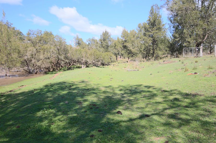 Rivertree Properties For Sale