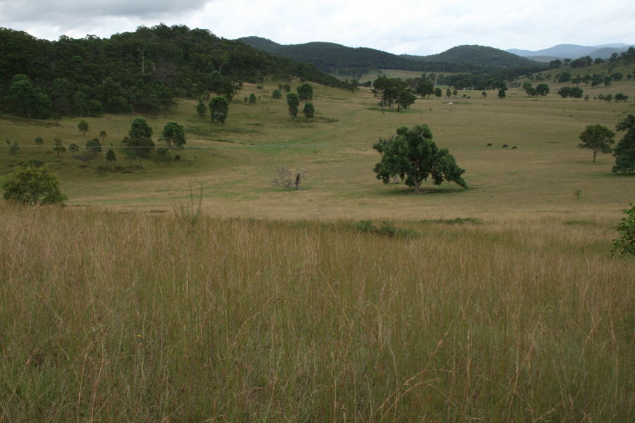 Property Sold in Sandy Hill