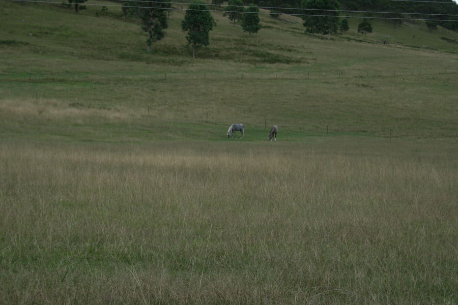 Real Estate in Sandy Hill