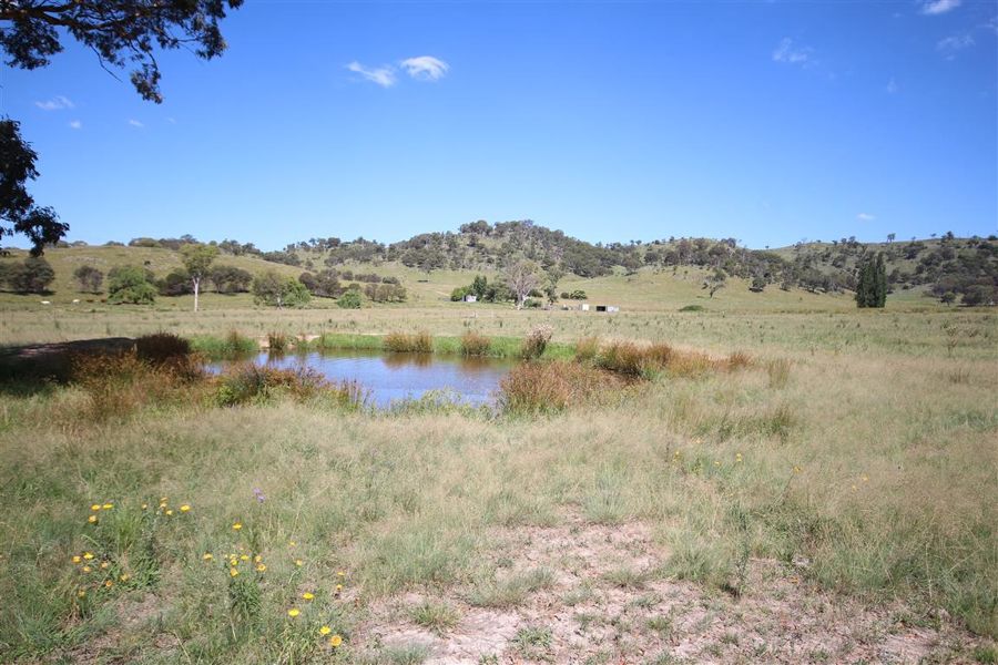 Real Estate in Tenterfield