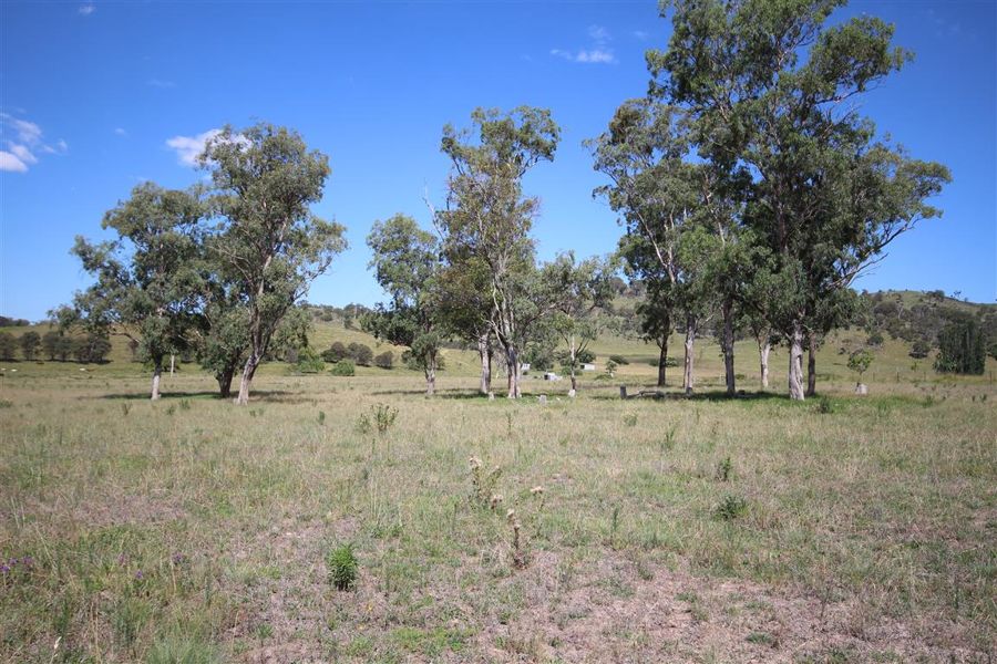 Real Estate in Tenterfield