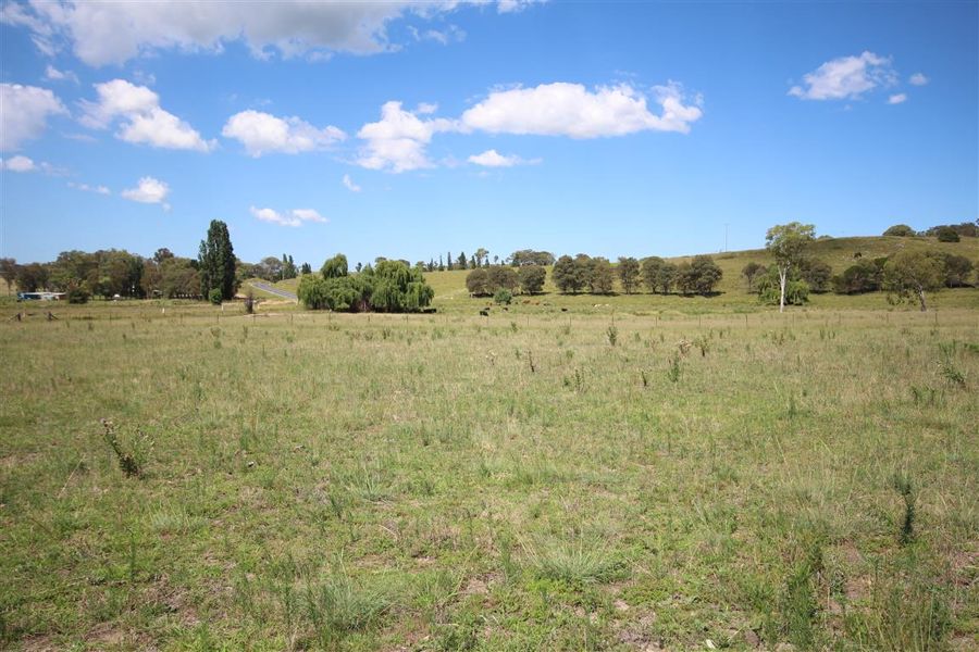 Real Estate in Tenterfield