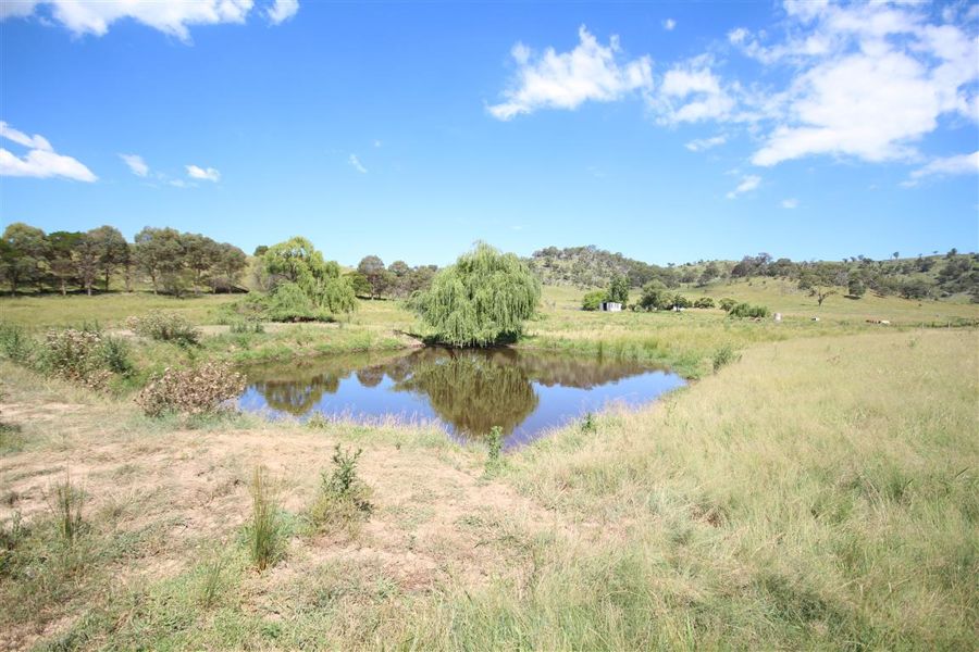 Real Estate in Tenterfield