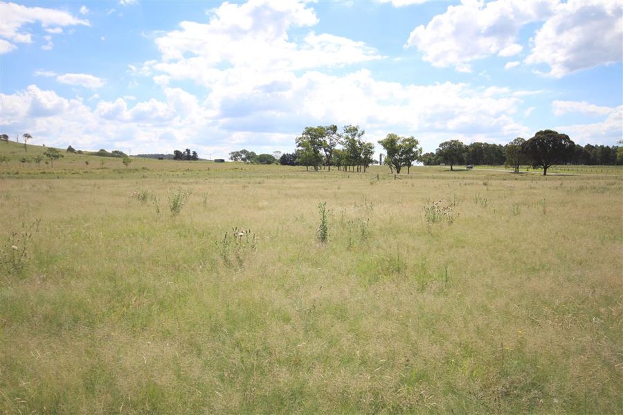 Real Estate in Tenterfield