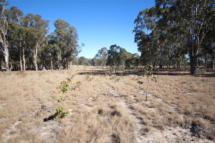 Real Estate in Tenterfield