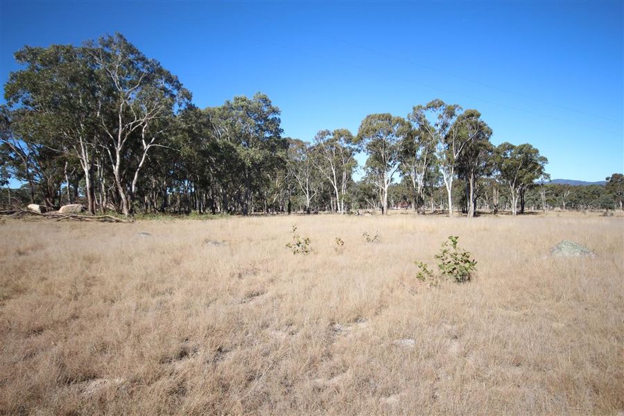 Real Estate in Tenterfield