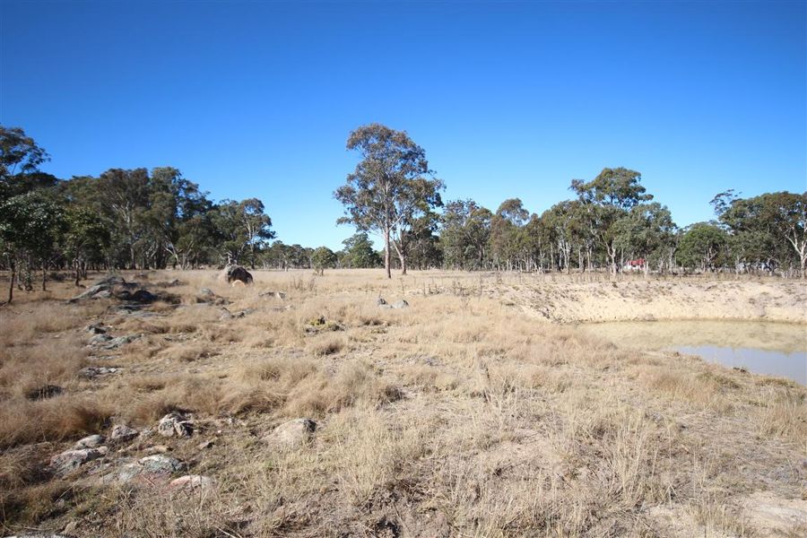 Real Estate in Tenterfield