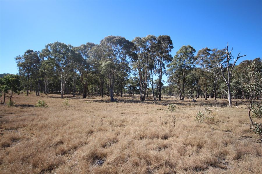 Property For Sale in Tenterfield