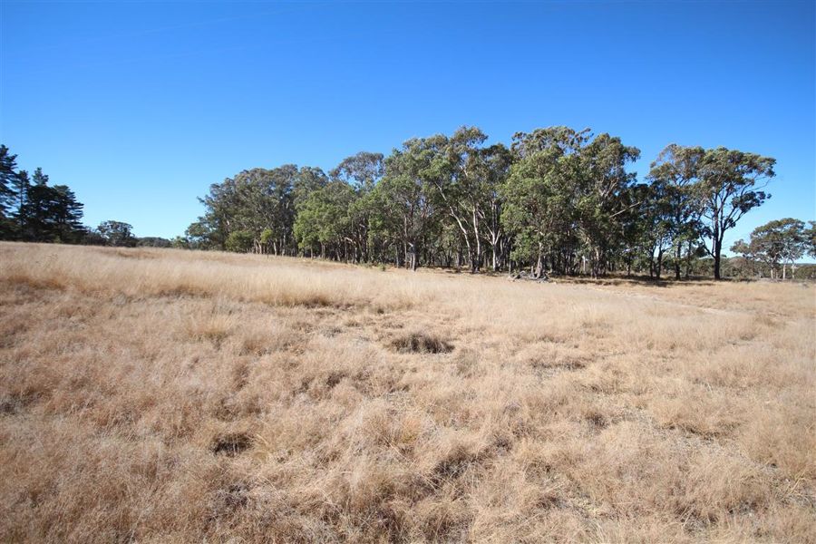 Real Estate in Tenterfield