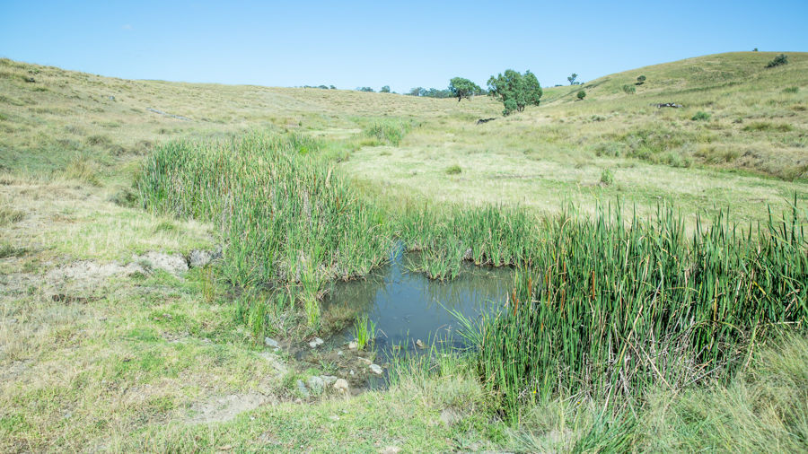 Real Estate in Tenterfield