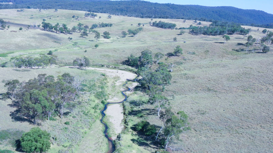 Tenterfield real estate For Sale