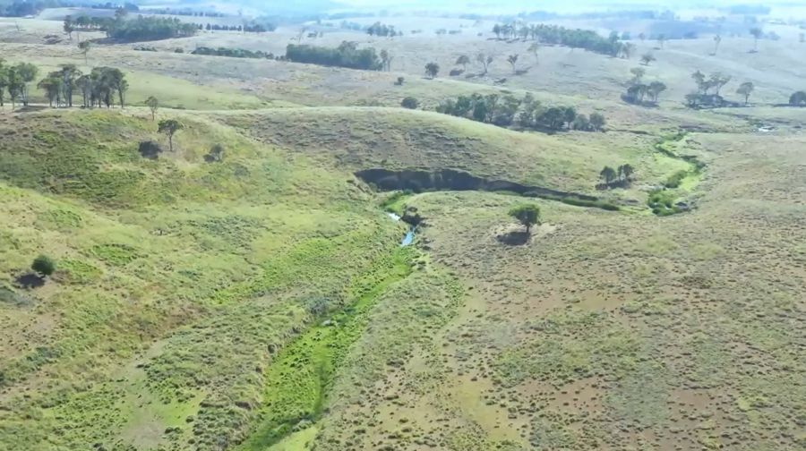 Real Estate in Tenterfield