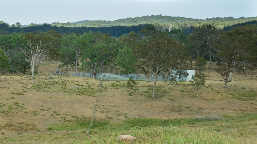 Real Estate in Tenterfield