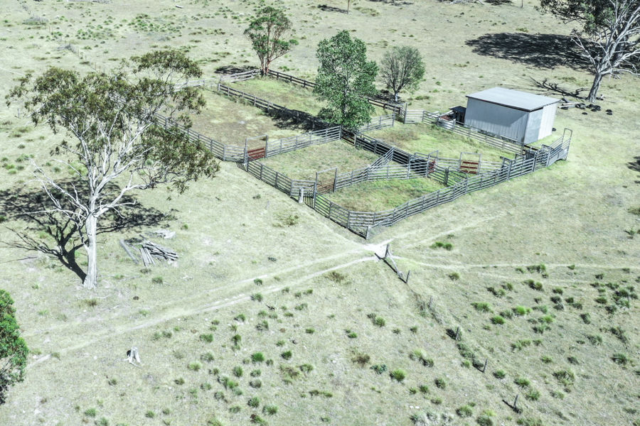 Real Estate in Tenterfield