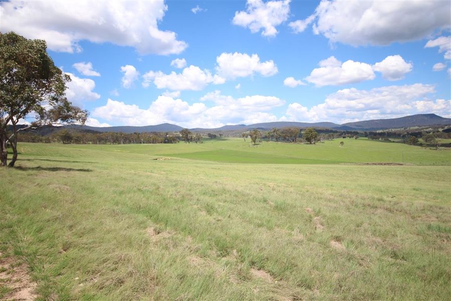 Real Estate in Tenterfield