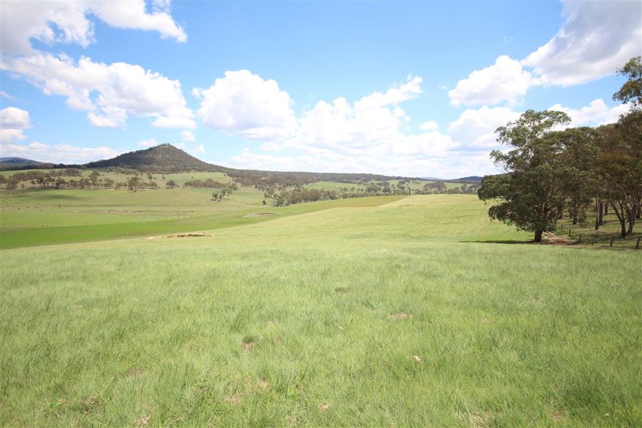 Real Estate in Tenterfield