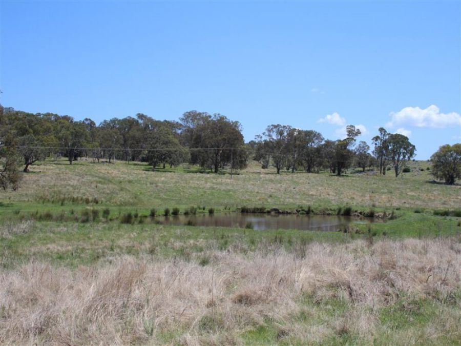 Property Sold in Tenterfield