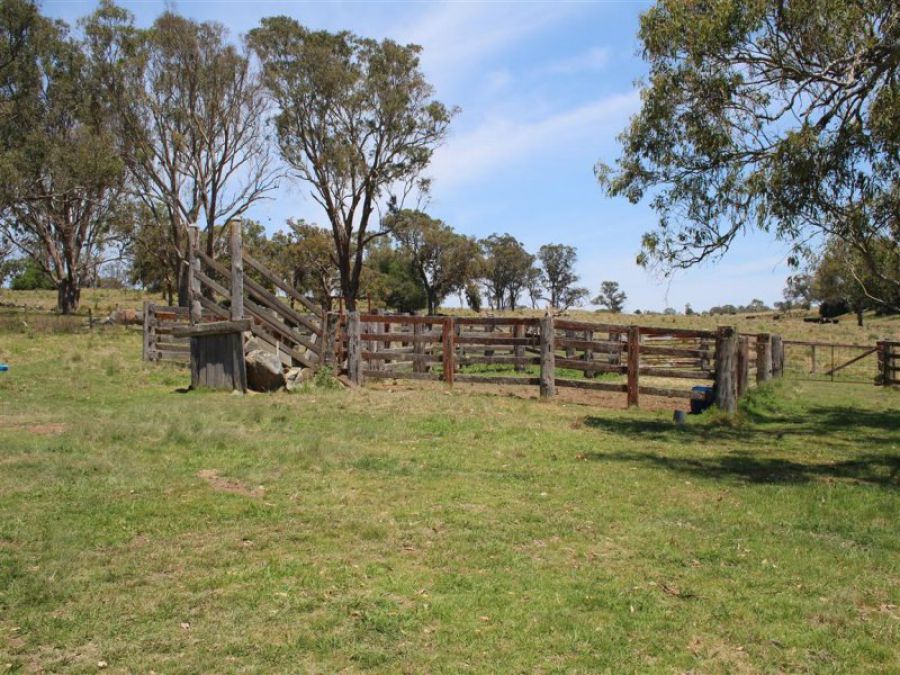 Real Estate in Tenterfield