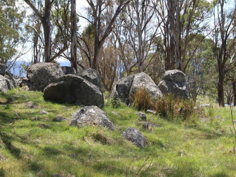 Real Estate in Tenterfield