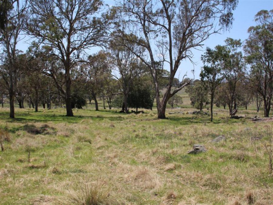 Real Estate in Tenterfield