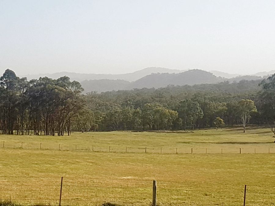 Real Estate in Tenterfield