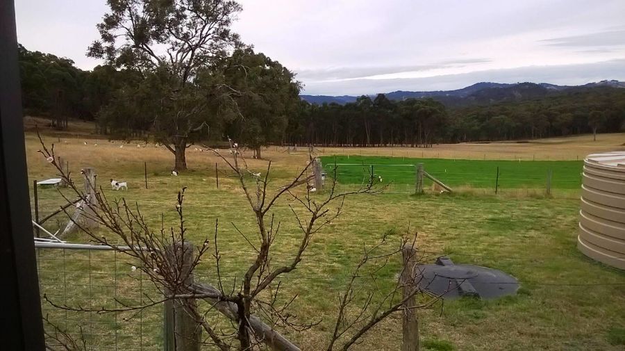 Real Estate in Tenterfield