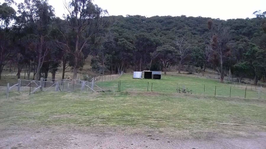 Real Estate in Tenterfield