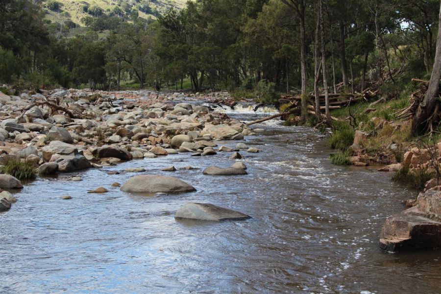 Real Estate in Tenterfield