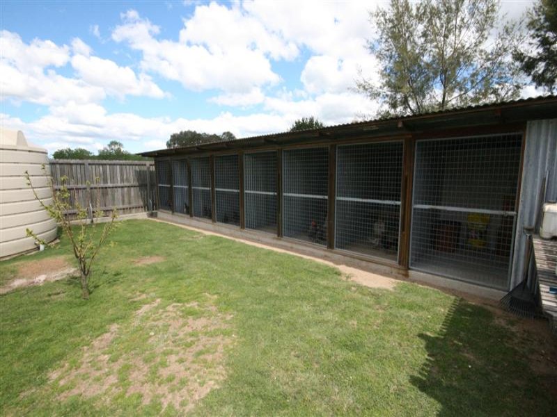 Real Estate in Tenterfield