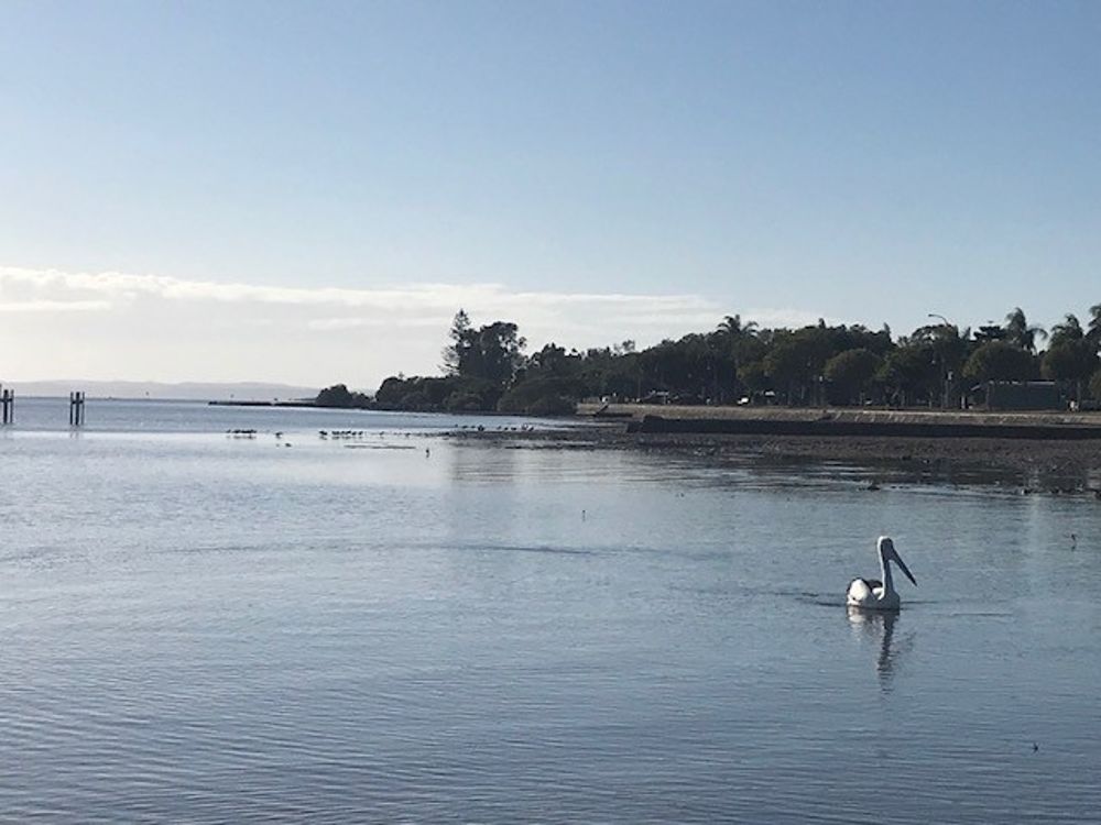 Real Estate in Tingalpa