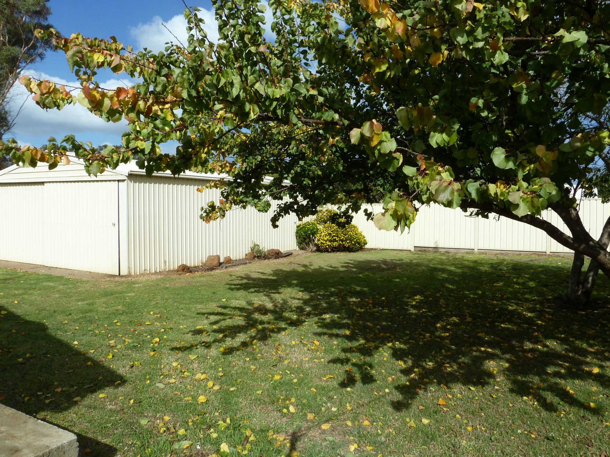 Penola real estate For Sale