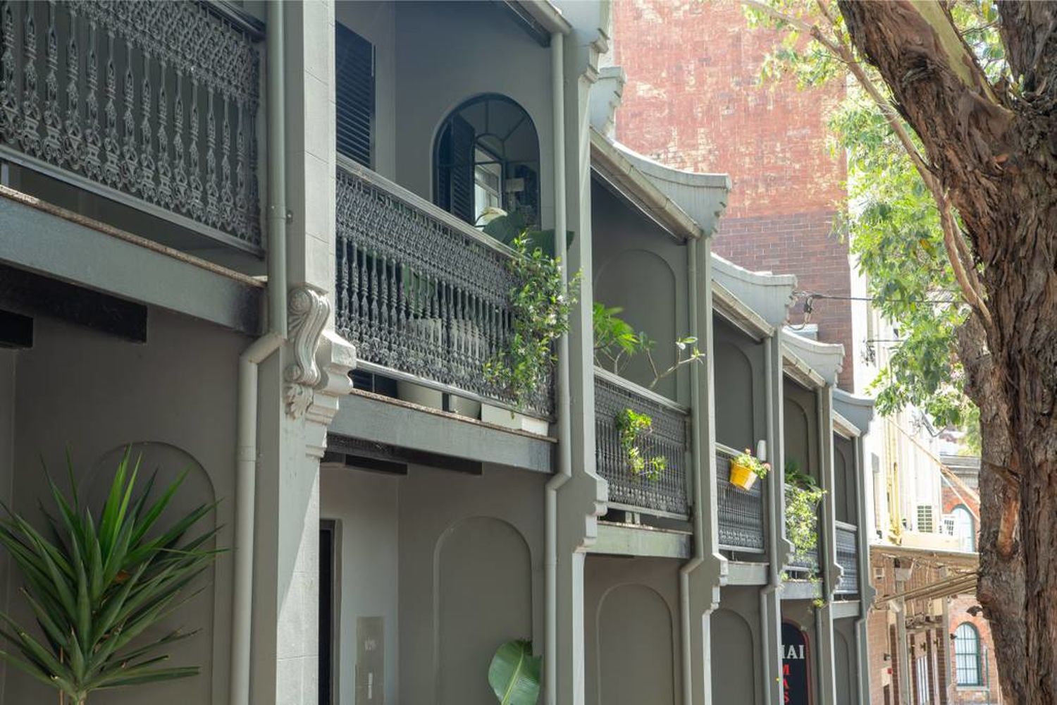 Real Estate in Darlinghurst
